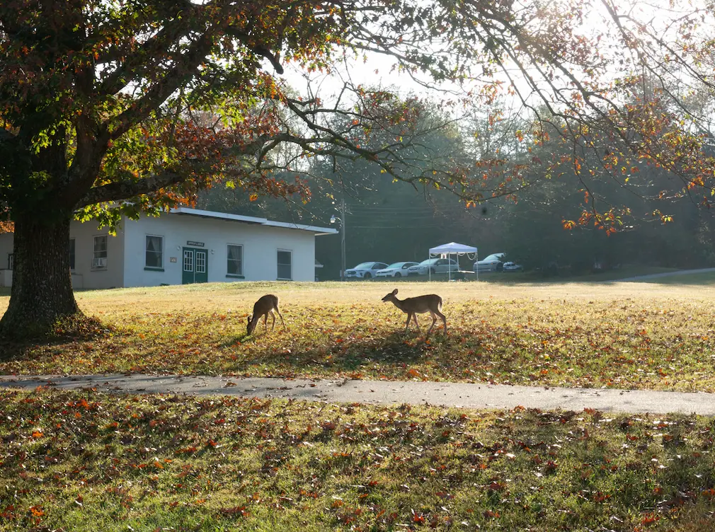 Delaware Gap in the fall